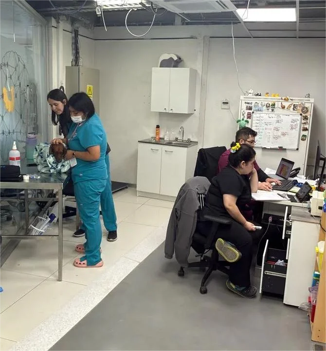 Imagen de vista previa