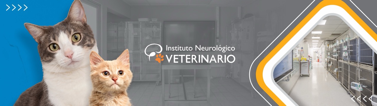 banner_neuro04_02092025201102 de tamaño grande